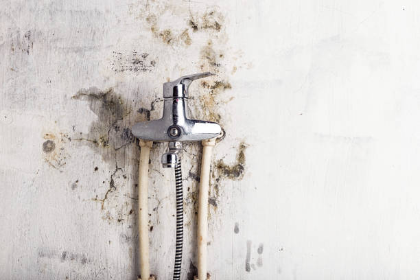 Best Kitchen Mold Remediation in Earlimart, CA