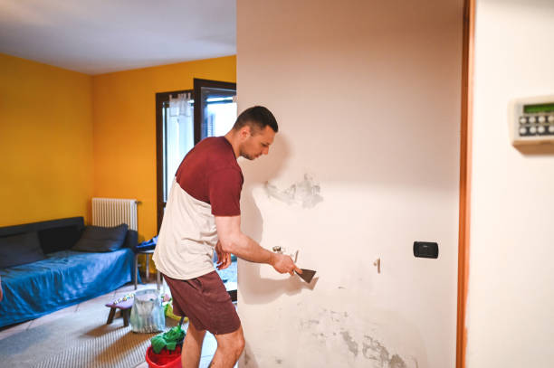 Best Residential Mold Remediation in Earlimart, CA
